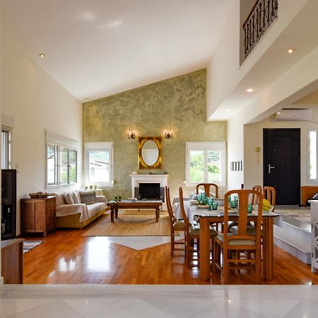 "Kochili Villa" Luxury Villa Agios Andreas  Bagian luar foto